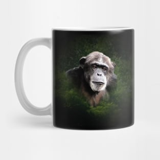 Chimpanzee Mug